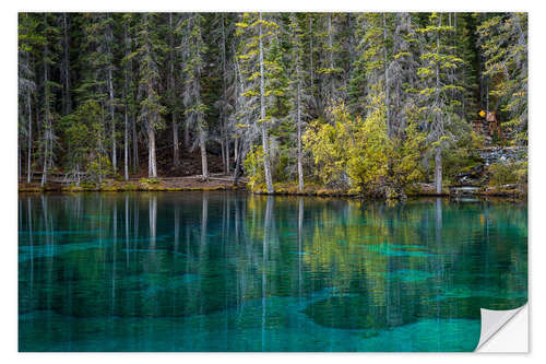 Selvklebende plakat Reflection in Grassi Lakes, Kananaskis