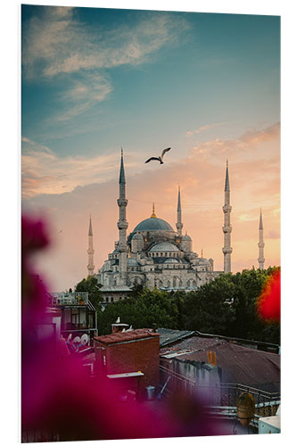 Stampa su PVC Seagull over Sultan Ahmed Mosque in Istanbul