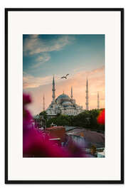 Gerahmter Kunstdruck Möwe über Sultan-Ahmed-Moschee in Istanbul