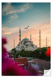 Sticker mural Seagull over Sultan Ahmed Mosque in Istanbul