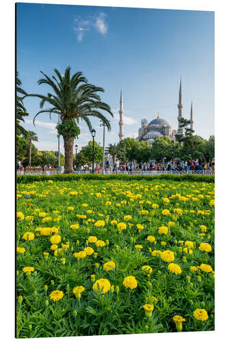 Aluminium print Sultan Ahmed Mosque in Istanbul