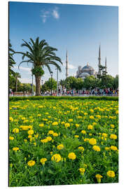 Cuadro de aluminio Sultan Ahmed Mosque in Istanbul