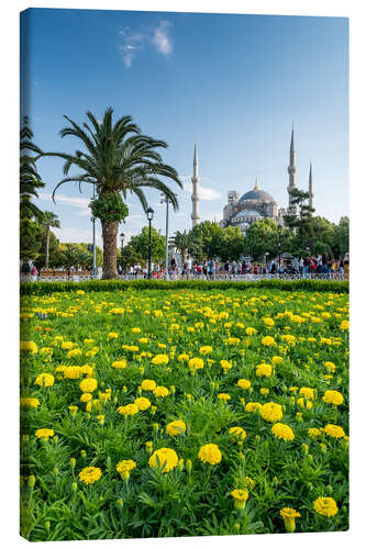 Canvas print Sultan Ahmed Mosque in Istanbul