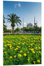 Foam board print Sultan Ahmed Mosque in Istanbul