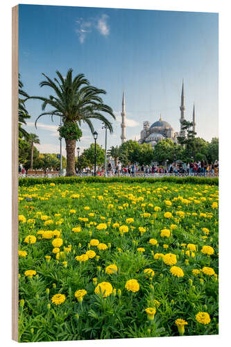 Wood print Sultan Ahmed Mosque in Istanbul