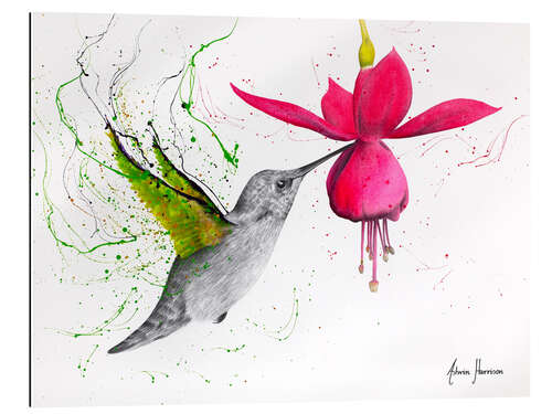 Quadro em plexi-alumínio Spring Garden Hummingbird