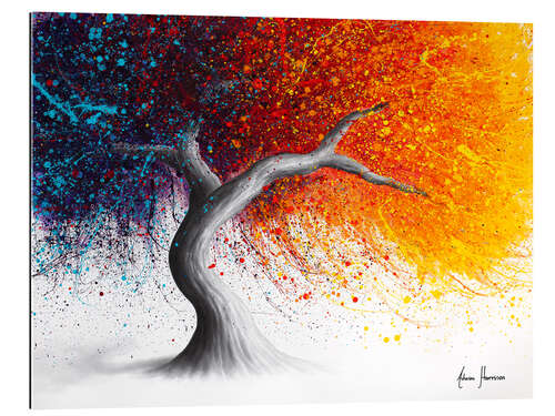 Gallery print Fire and Passion Tree