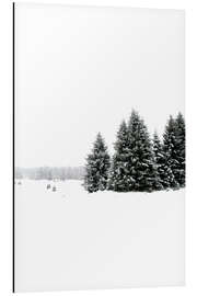 Tableau en aluminium White snow and winter landscape