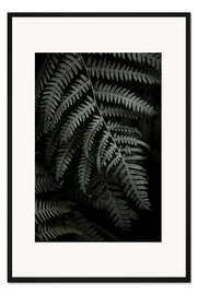 Gerahmter Kunstdruck Dunkelgrüner Farn