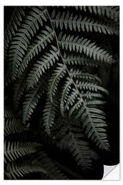 Wall sticker Dark green fern