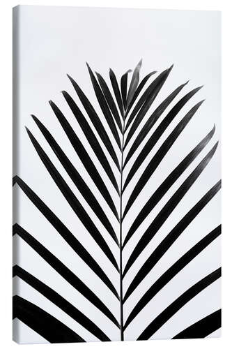 Canvas print Tropical black palm leaf