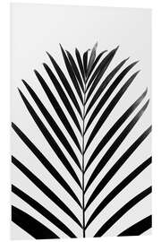 Foam board print Tropical black palm leaf