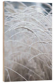 Cuadro de madera Morning dew on gentle winter grasses