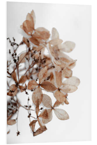 PVC print Snow on beige winter hydrangea