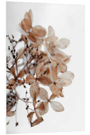 Foam board print Snow on beige winter hydrangea