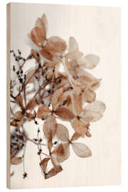 Wood print Snow on beige winter hydrangea