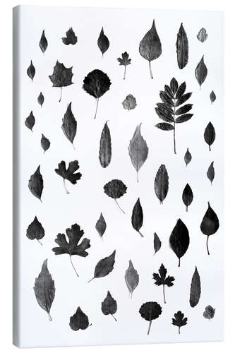 Canvas print Autumn leaves collection