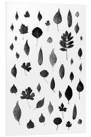 Foam board print Autumn leaves collection