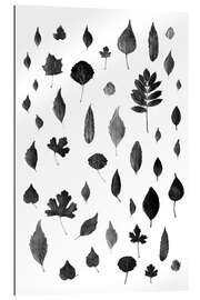 Gallery print Autumn leaves collection