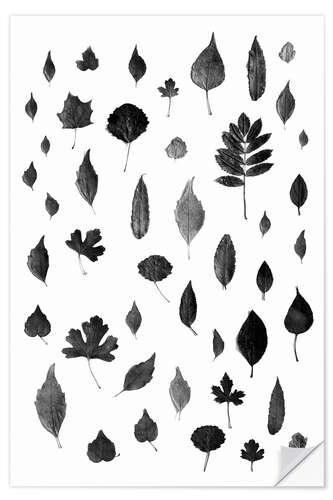 Selvklebende plakat Autumn leaves collection