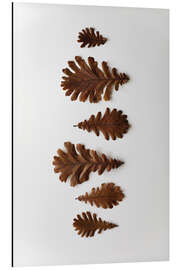 Cuadro de aluminio Oak leaf in brown