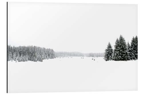 Obraz na aluminium White, white snow and winter landscape