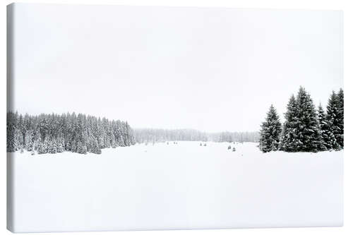 Leinwandbild Weiße, weiße Schnee und Winter Landschaft