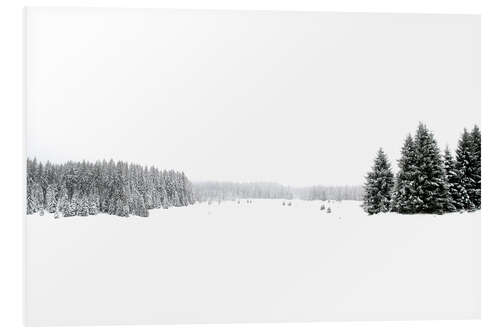 Foam board print White, white snow and winter landscape