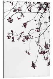 Tableau en aluminium Delicate winter branches on the white sky