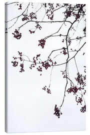 Canvas print Delicate winter branches on the white sky