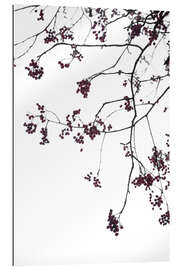 Gallery print Delicate winter branches on the white sky