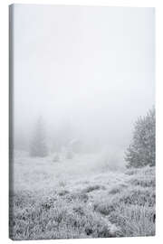 Leinwandbild Das Haus im Nebel Wald