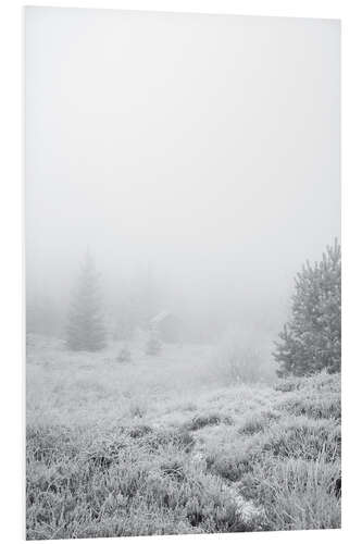 Foam board print The house in the fog forest