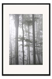 Gerahmter Kunstdruck Grauer Nebel im Herbst Wald