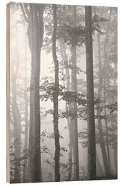 Hout print Gray fog in autumn forest