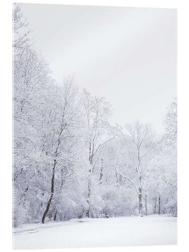 Acrylic print Winter day on the Nonnenwiese in Leipzig