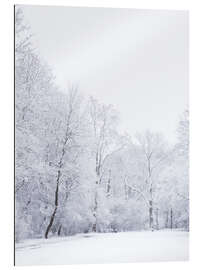 Gallery Print Wintertag auf der Nonnenwiese in Leipzig