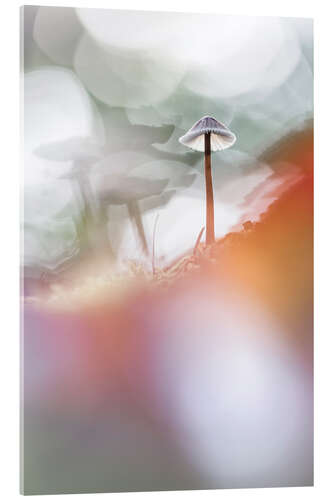 Tableau en verre acrylique A dance with light