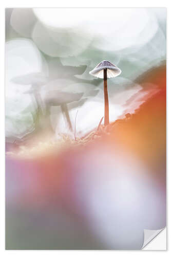 Wandsticker Ein Tanz mit Licht