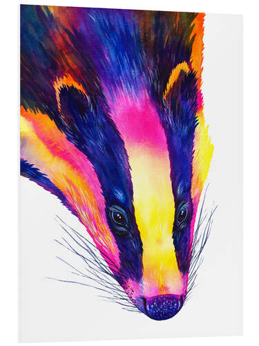 Foam board print European Badger