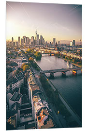 Stampa su PVC Frankfurt am Main, the skyline from above