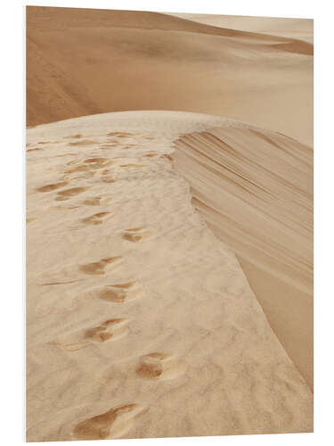 Foam board print Traces in the sand