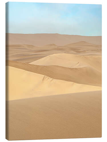 Canvas print Namib desert