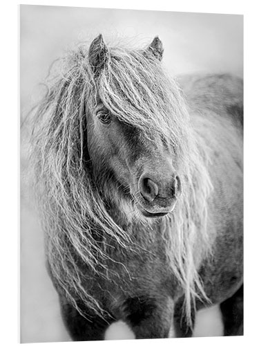 Hartschaumbild Shetland-Pony II