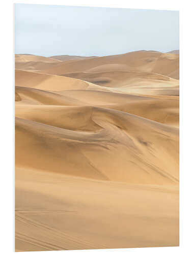 PVC print Namib desert