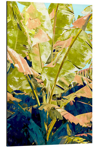 Aluminiumsbilde Blush Banana Tree