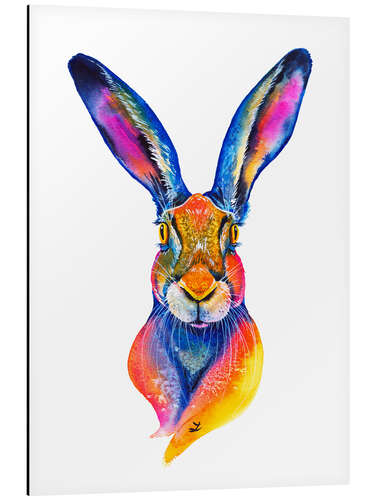 Aluminium print European Hare