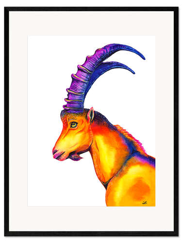 Framed art print Alpine Ibex