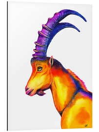 Magnettafel Alpensteinbock