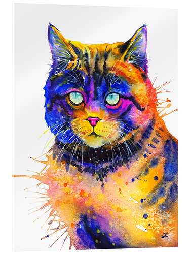 Acrylglasbild Katze